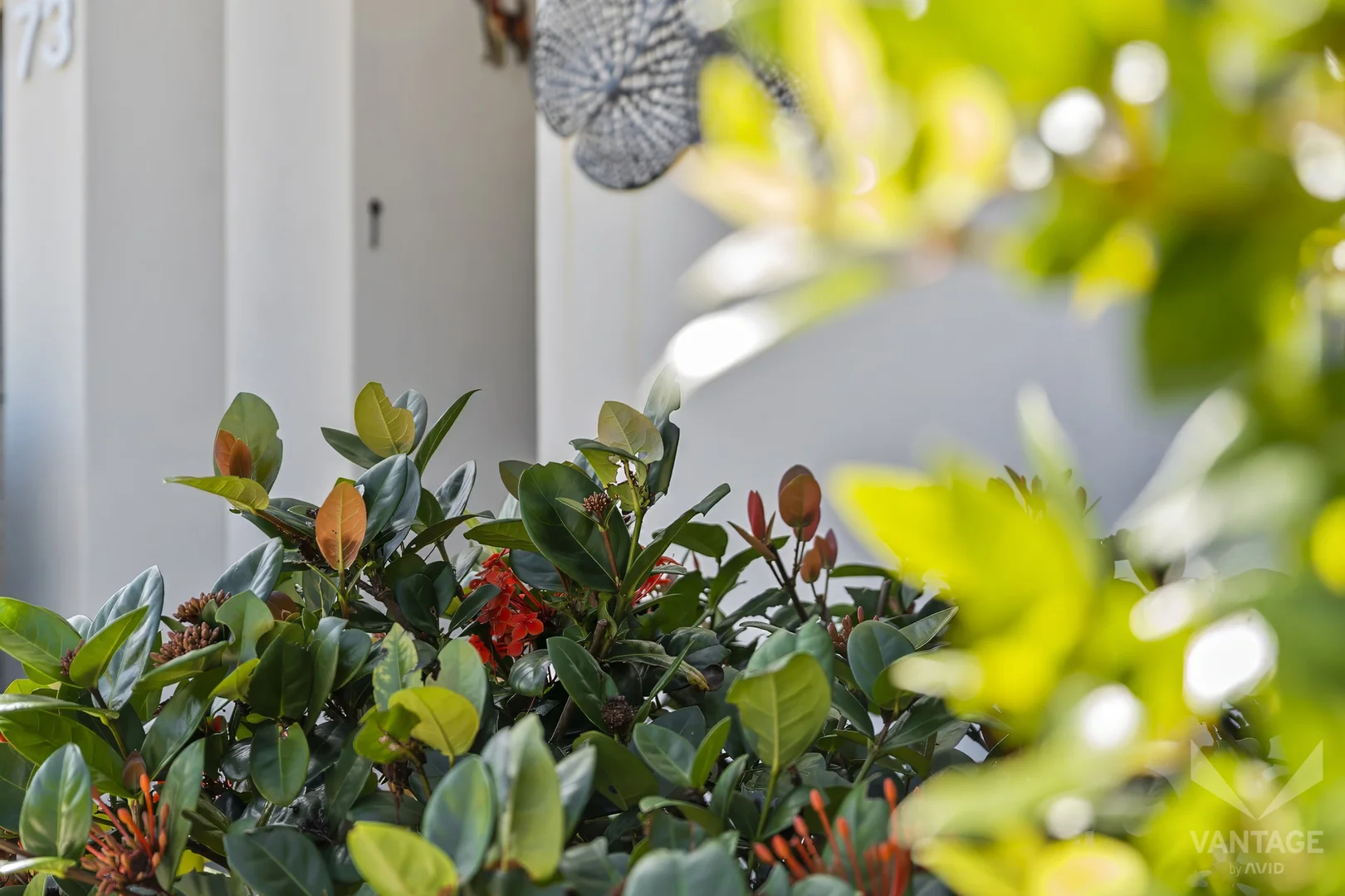 Additional image 14 of 73/176 Torrens Road, Caboolture South QLD 4510