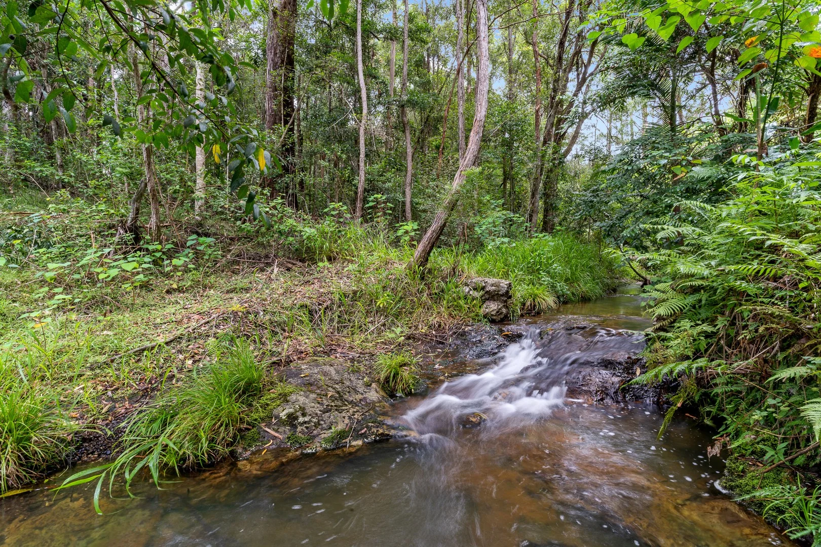 Additional image 31 of 76 Maso Road, Repentance Creek NSW 2480