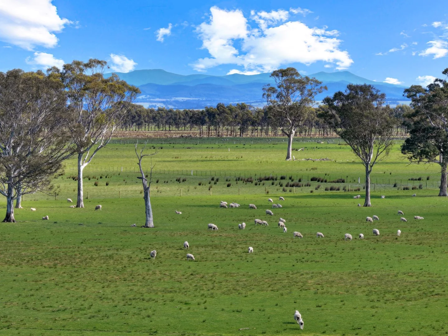 Additional image 13 of 1380 Princes Highway, Hillside VIC 3875