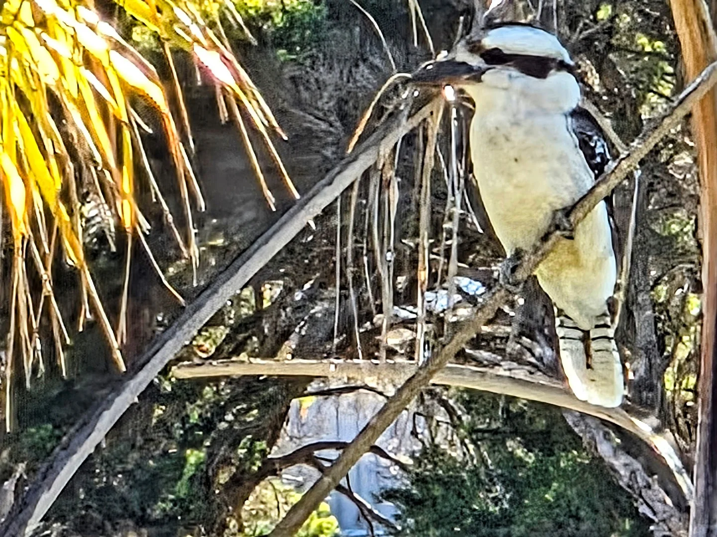 Additional image 37 of Lot 1 and Lot 5 Bald Hills Road, Plainby QLD 4355