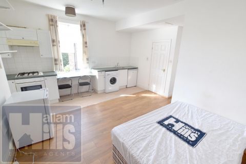 Endcliffe Terrace Road, Sheffield, South Yorkshire S11, Studio to rent
