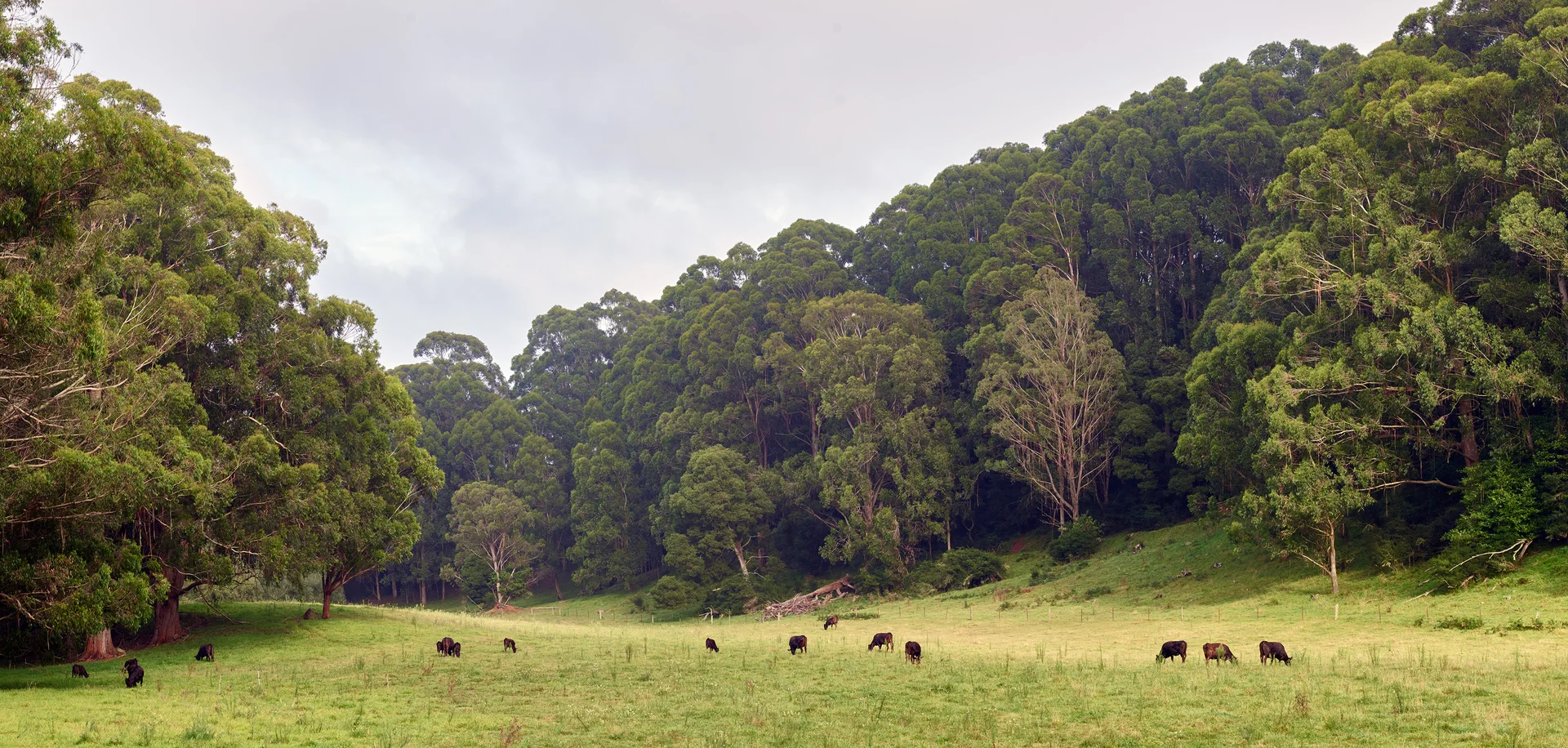 Additional image 17 of 141 Yarrawa Road, Moss Vale NSW 2577