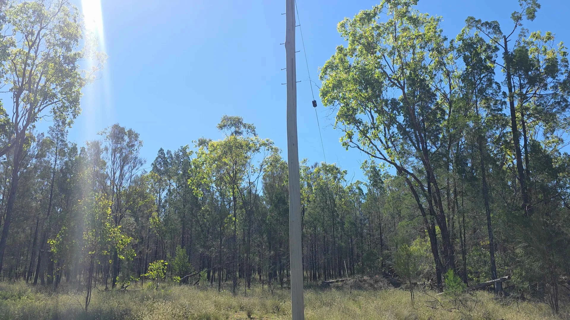 Additional image 6 of LOTS 34-39/221, 520 Pelican Back Road, Pelican QLD 4413