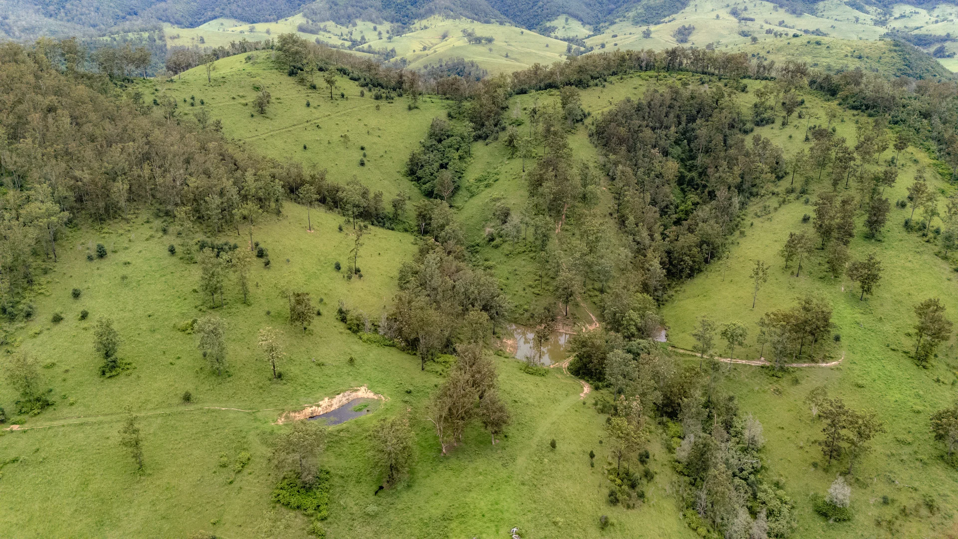 Additional image 8 of 141 Khatambuhl Creek Road, Mount George NSW 2424