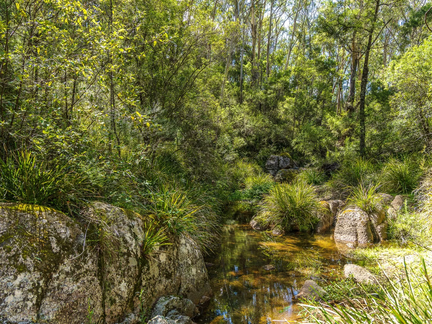 Additional image 35 of 660 Hawks Head Road, Brogo NSW 2550