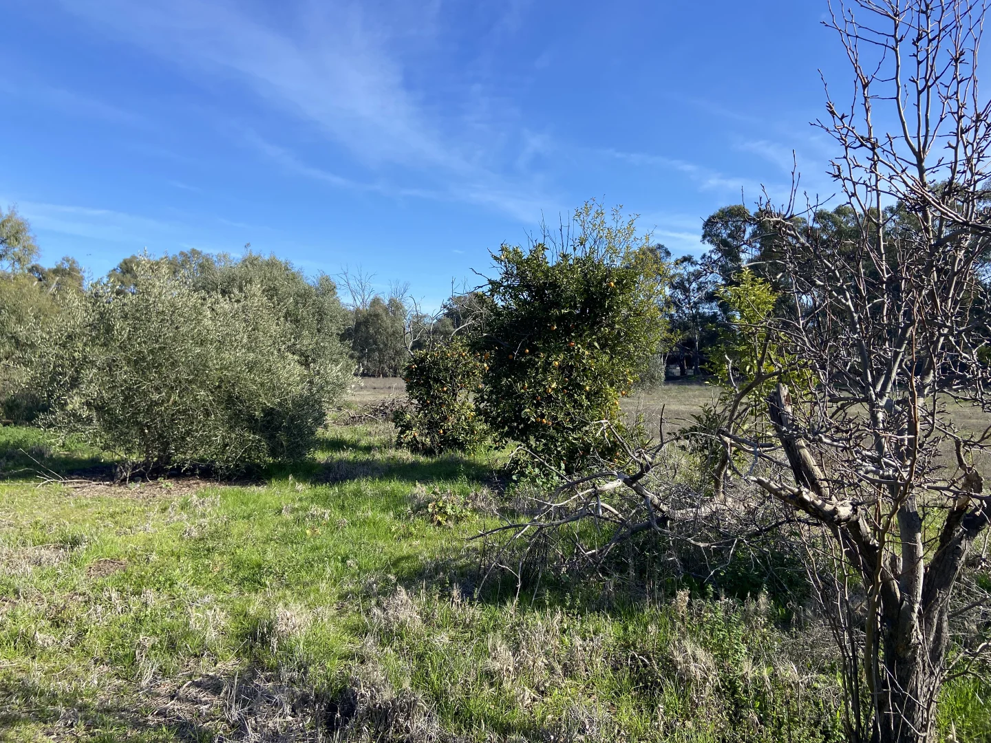 Additional image 8 of 306 Anstruther Street, Echuca VIC 3564