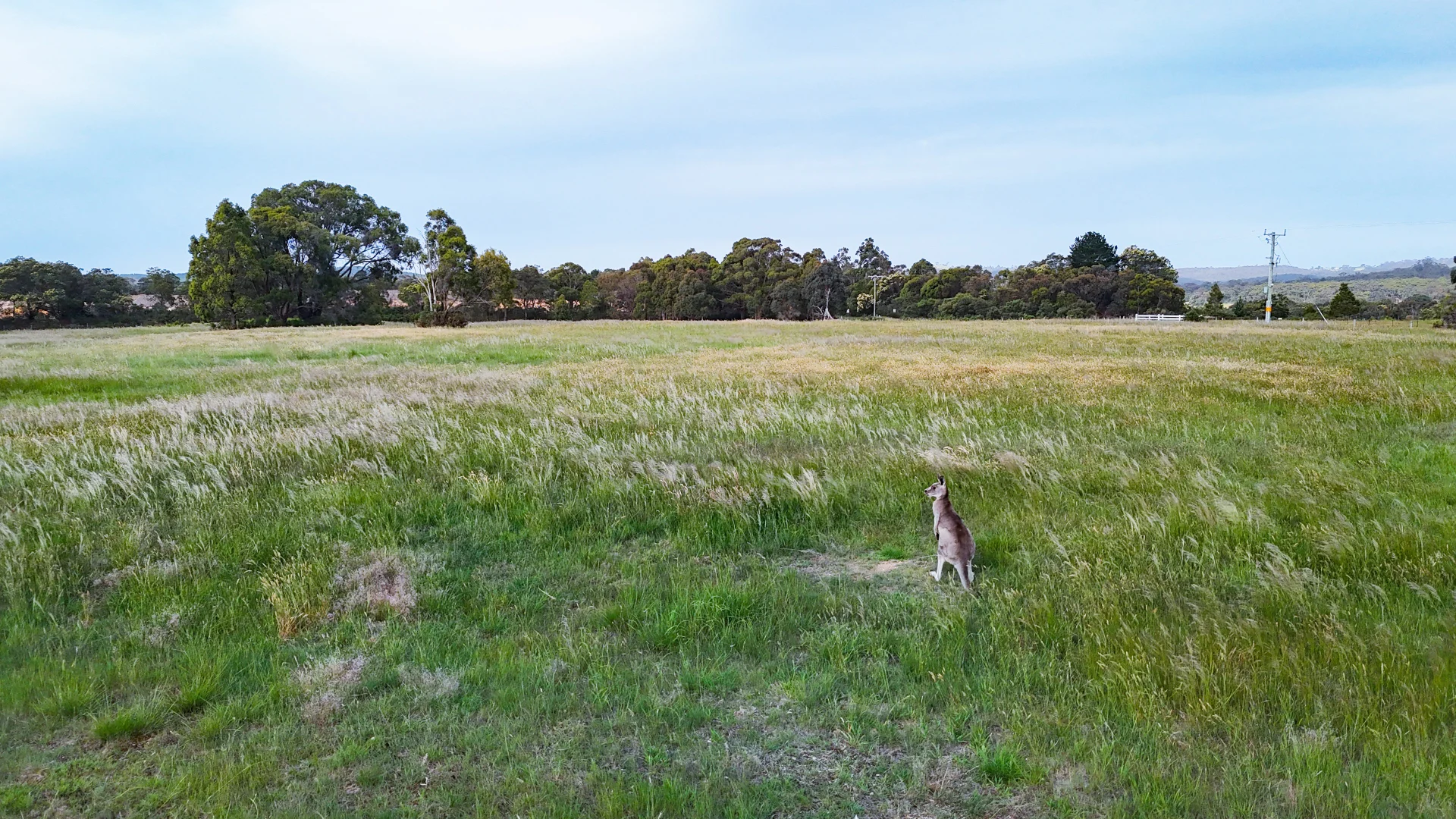 Additional image 3 of 215 Nolans Road, Buninyong VIC 3357