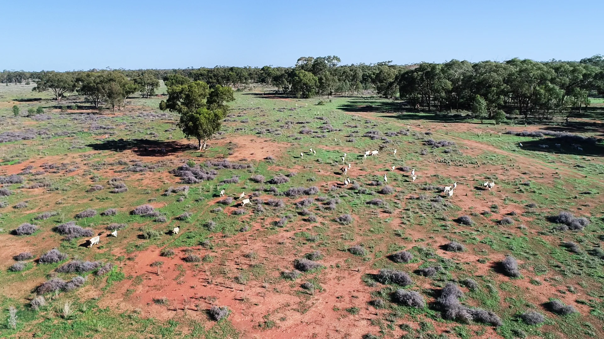 Additional image 8 of 7024 Mulya Road, Cobar NSW 2835