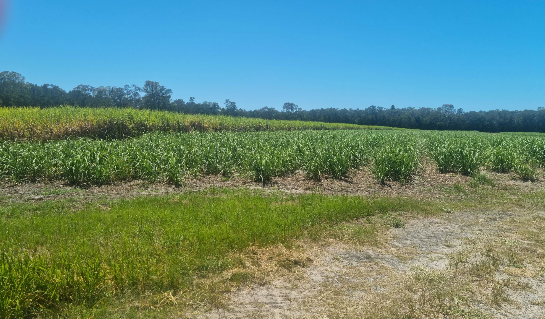 Additional image 12 of 1587 Stapylton Jacobs Well Road, Jacobs Well QLD 4208