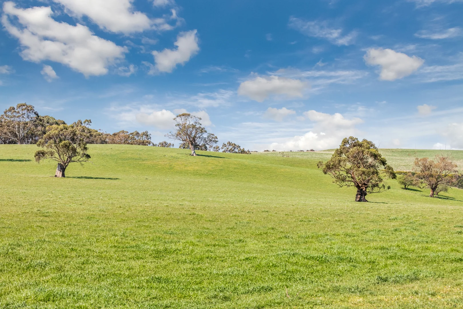 Additional image 19 of 75 Greenhills Road, Greendale VIC 3341