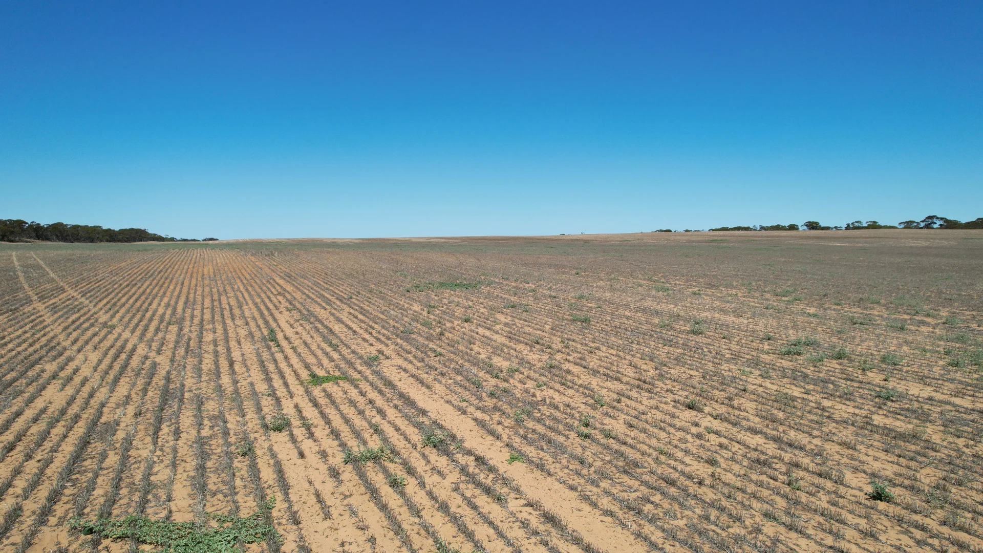 Additional image 8 of Lot 1 Stones Track & Lot 17 Kulkami Road, Karoonda SA 5307