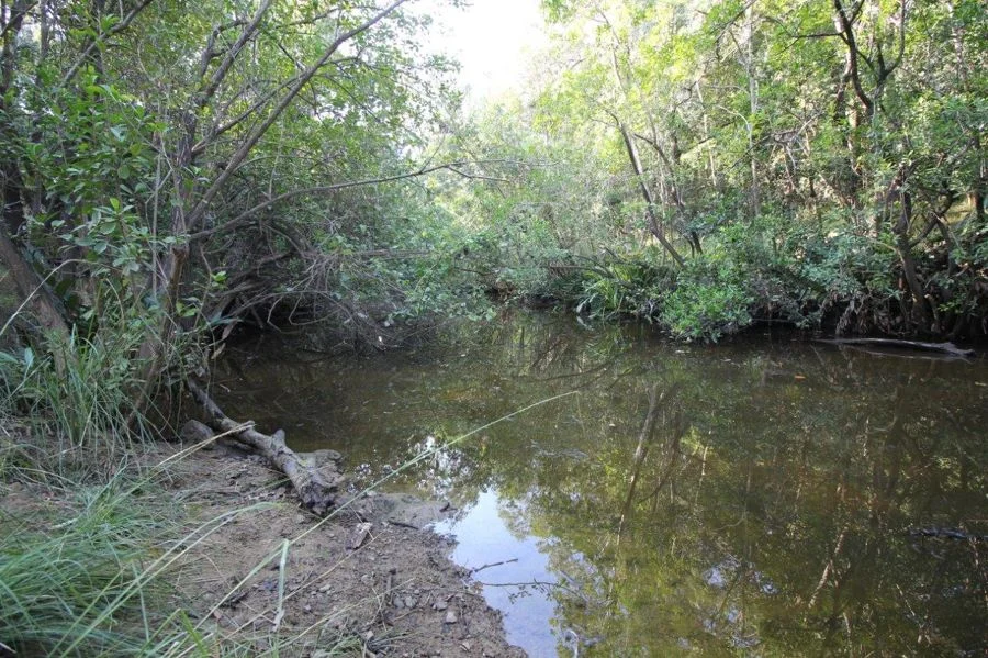 Additional image 32 of 684 Taunton Road, Taunton QLD 4674