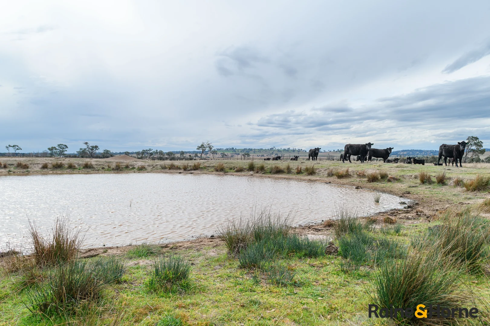 Additional image 37 of Lot 122 Nine Mile Road, Glen Innes NSW 2370