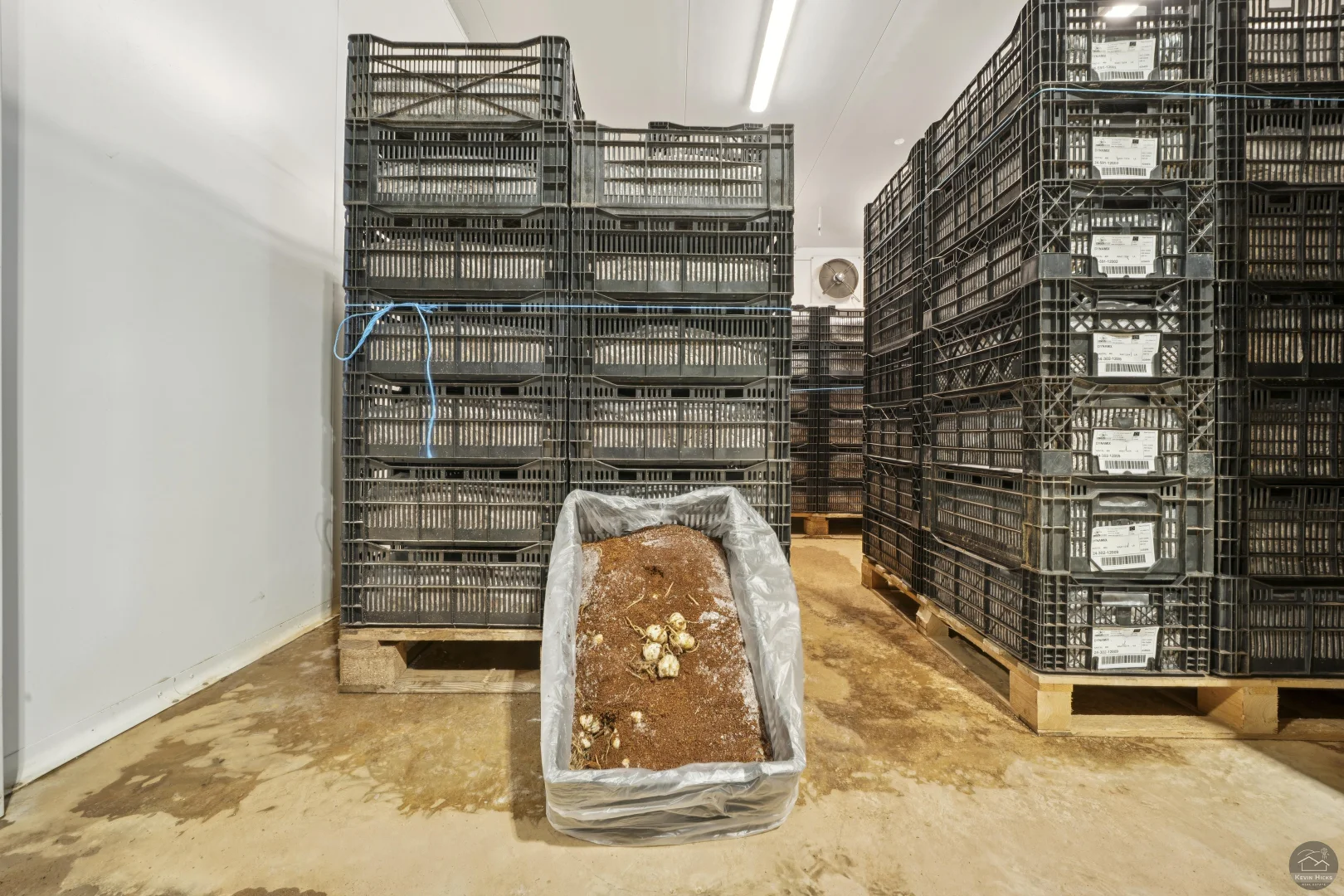 Additional image 17 of 620 River Road, Murchison North VIC 3610