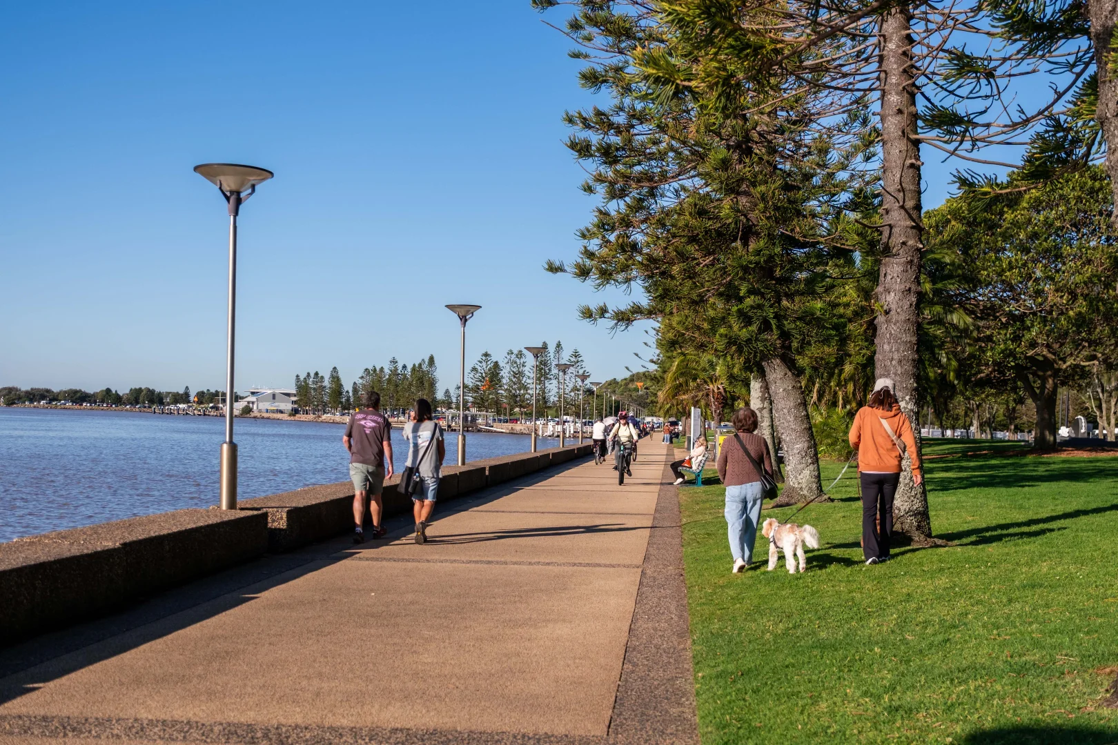 Additional image 17 of 811/73-79 Railway Lane, Wickham NSW 2293