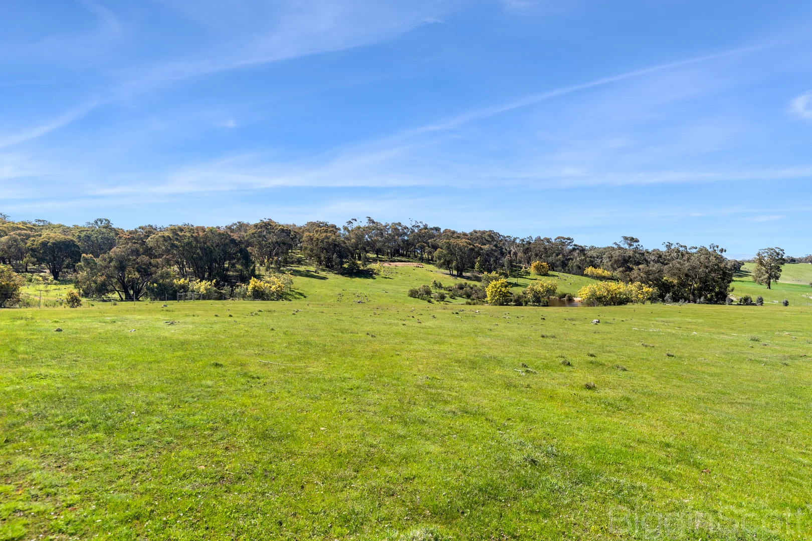 Additional image 13 of 595 Providence Gully Road, Yandoit Hills VIC 3461