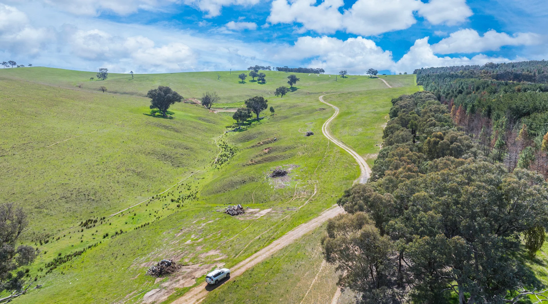 Additional image 16 of 1510 Culcairn Holbrook Road, Morven NSW 2660