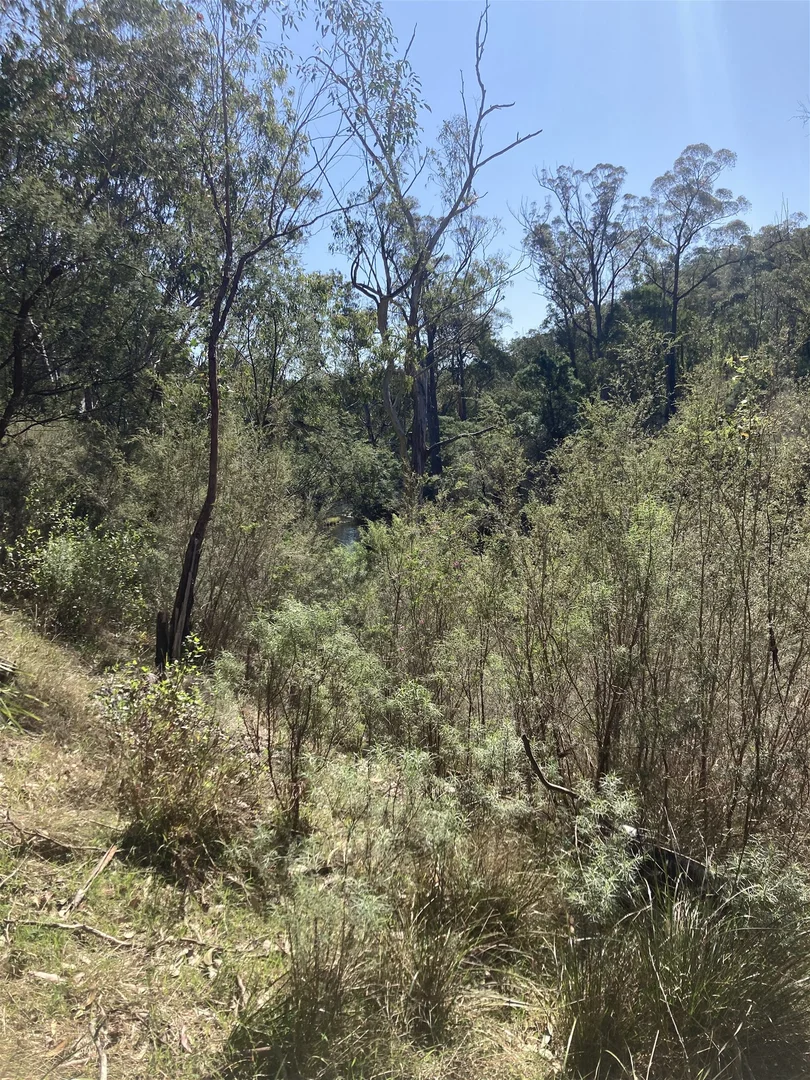 Additional image 20 of 138 Elliot Road, Valencia Creek VIC 3860