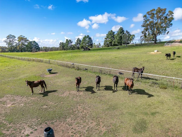 Additional image 3 of 543 Aberbaldie road, Walcha NSW 2354