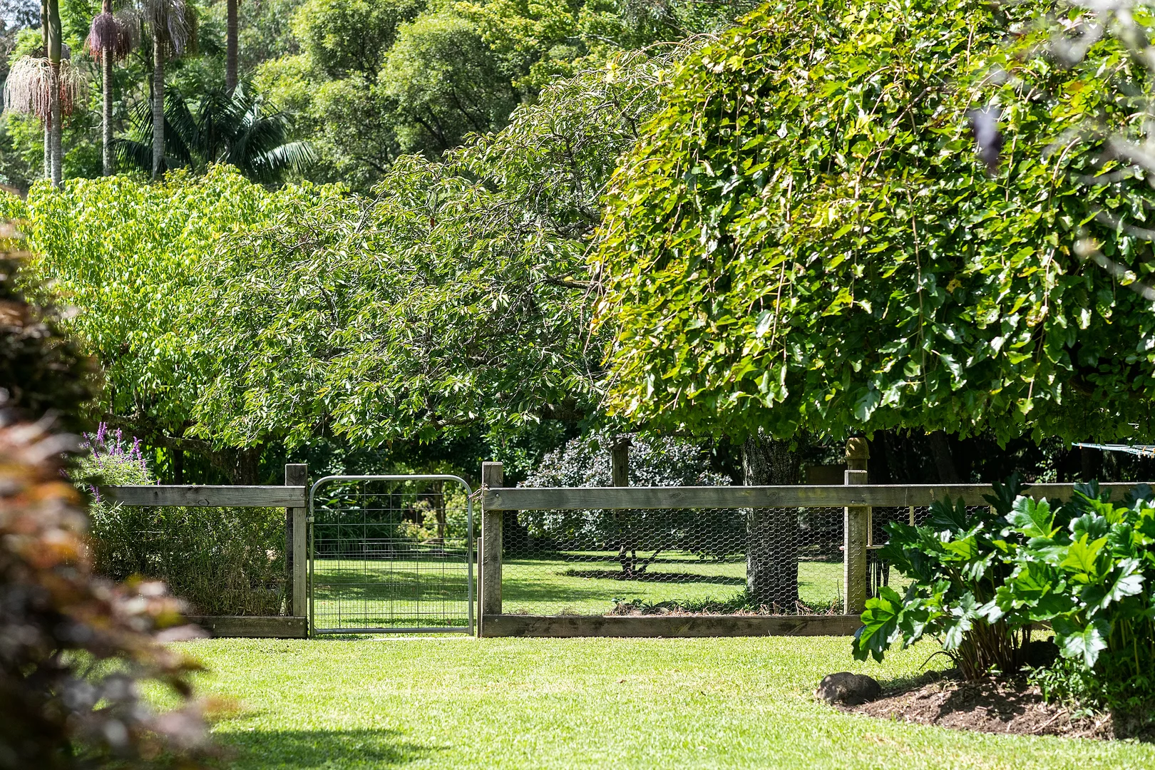 Additional image 26 of 5 Tourist Road, Beaumont NSW 2577