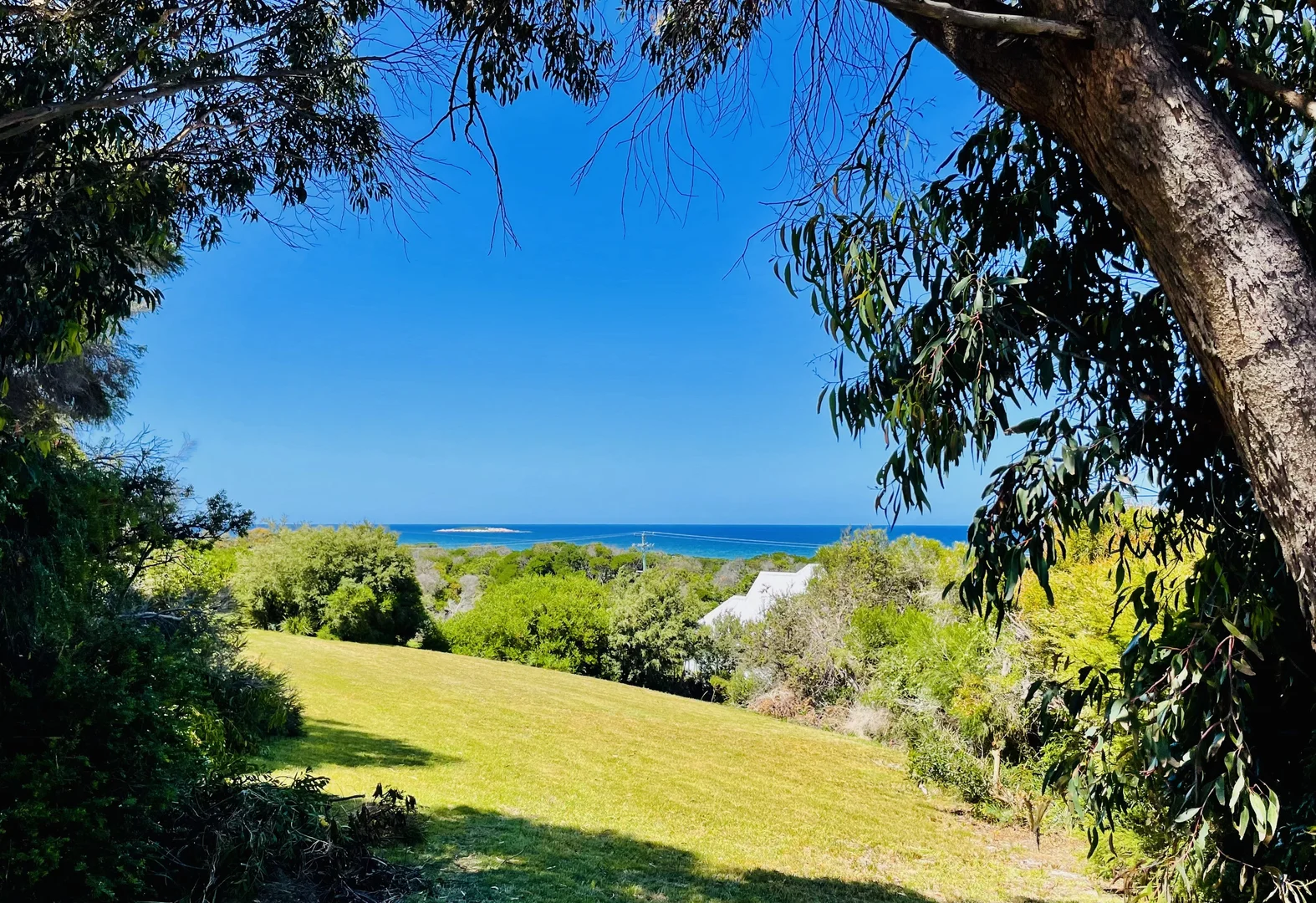 Additional image 2 of 20 Florence Court, Beaumaris TAS 7215