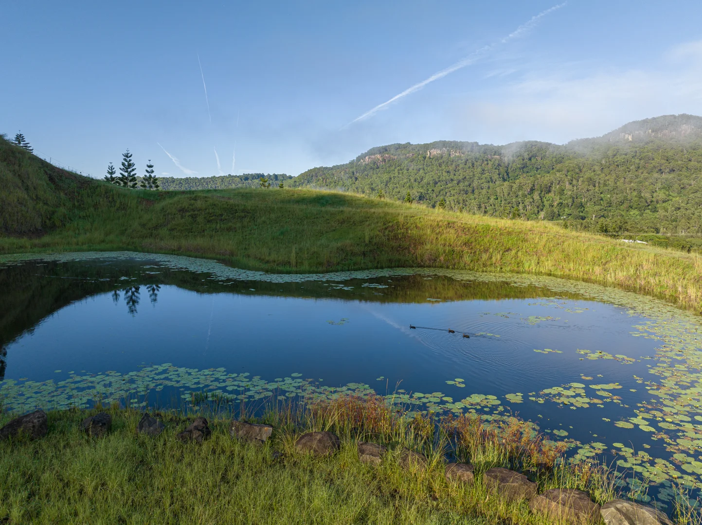 Additional image 14 of 2298 Nimbin Road, Nimbin NSW 2480