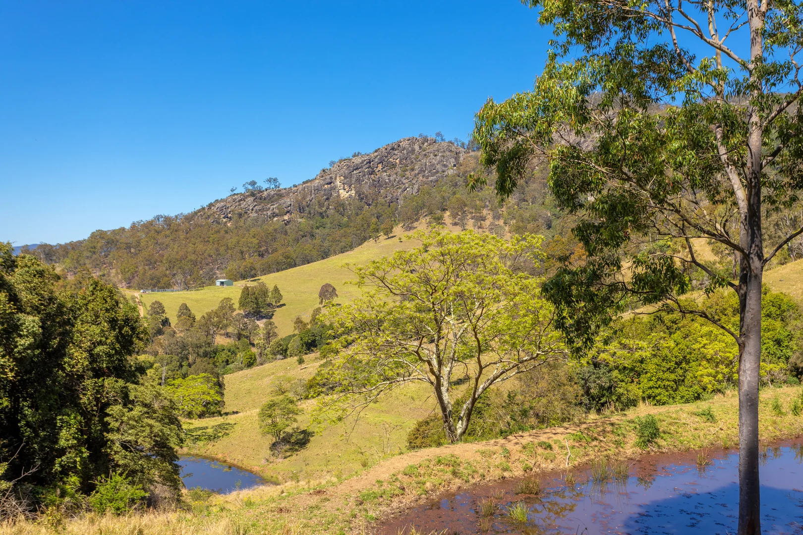 Additional image 16 of 233 Thunderbolts Way, Gloucester NSW 2422