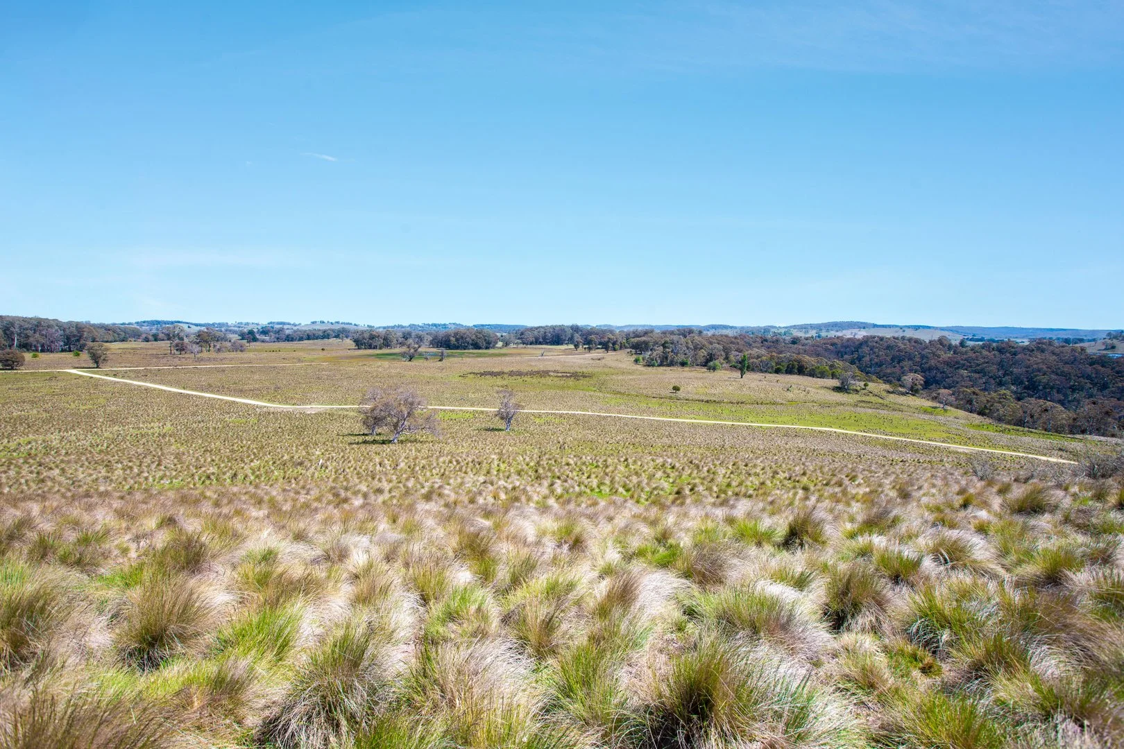 Additional image 11 of Thornleigh Coolangubra Road, Cathcart NSW 2632