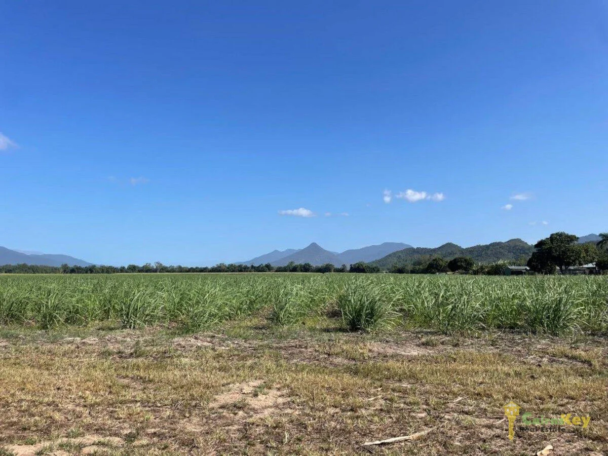 Additional image 5 of 45 Thomson Road, Edmonton QLD 4869