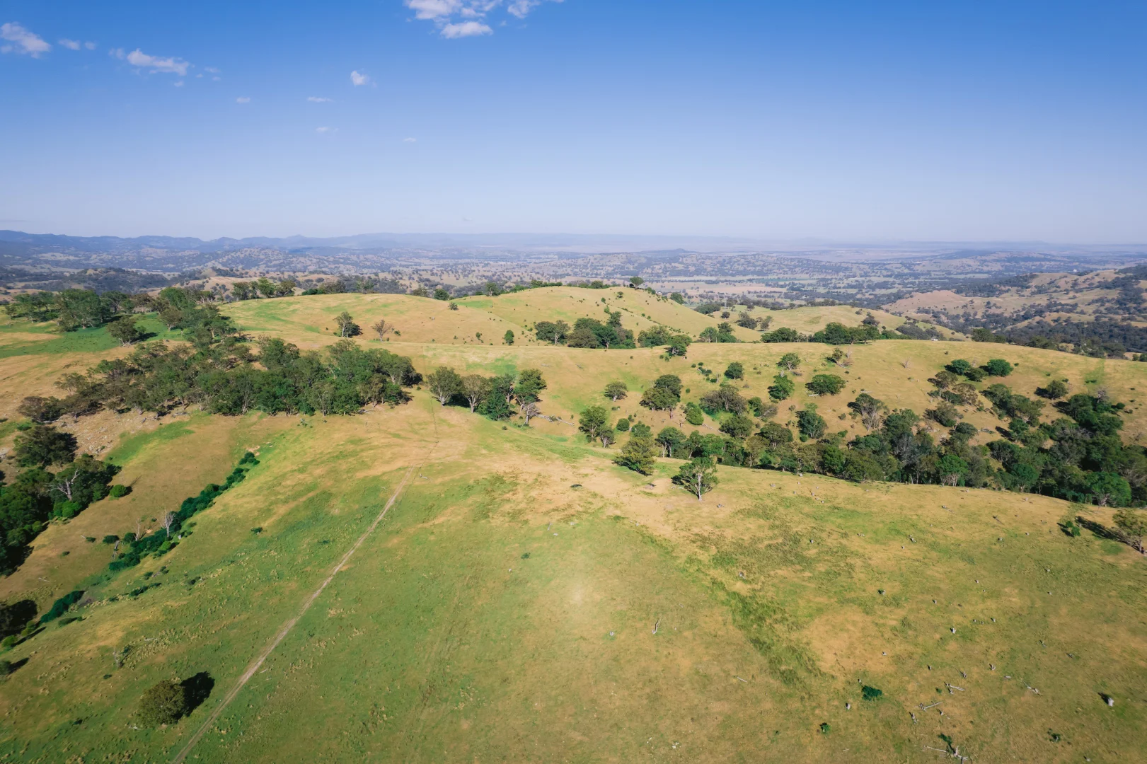 Additional image 9 of 7390 New England Hwy, Willow Tree NSW 2339