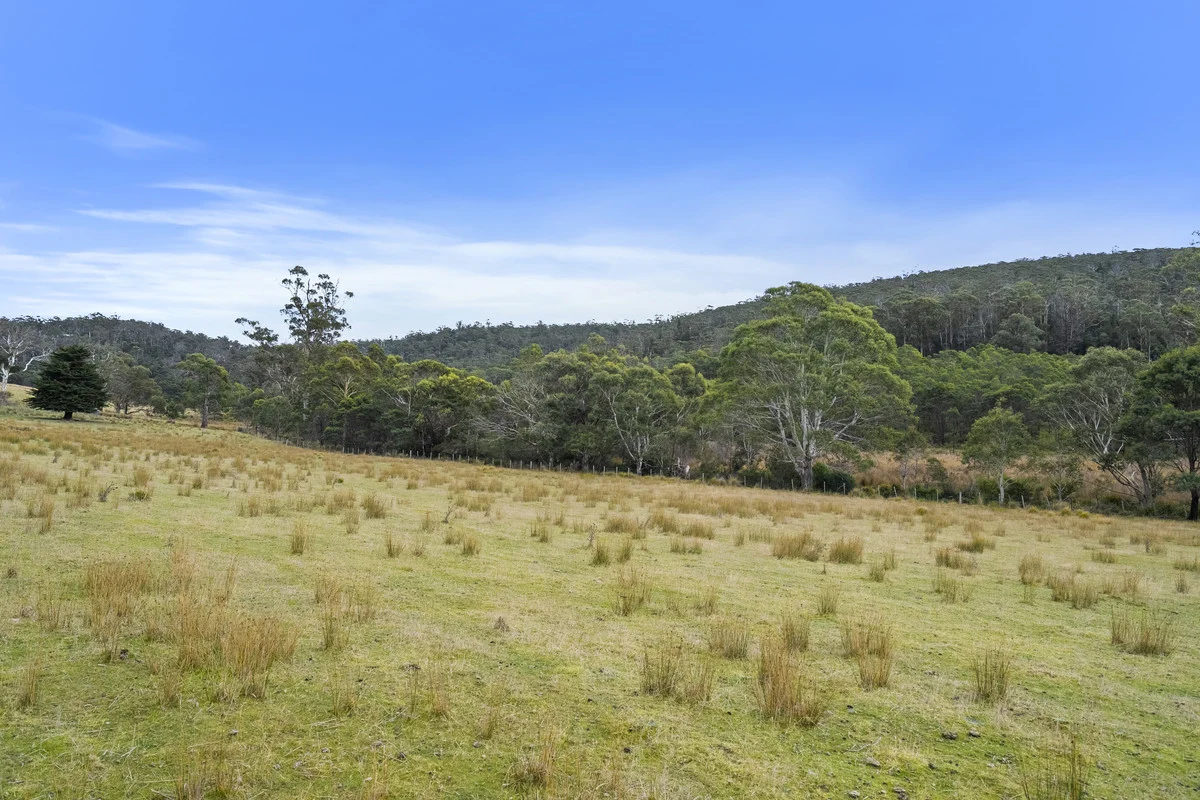 Additional image 32 of 1 & 2 Bresnehans Road, Little Swanport TAS 7190