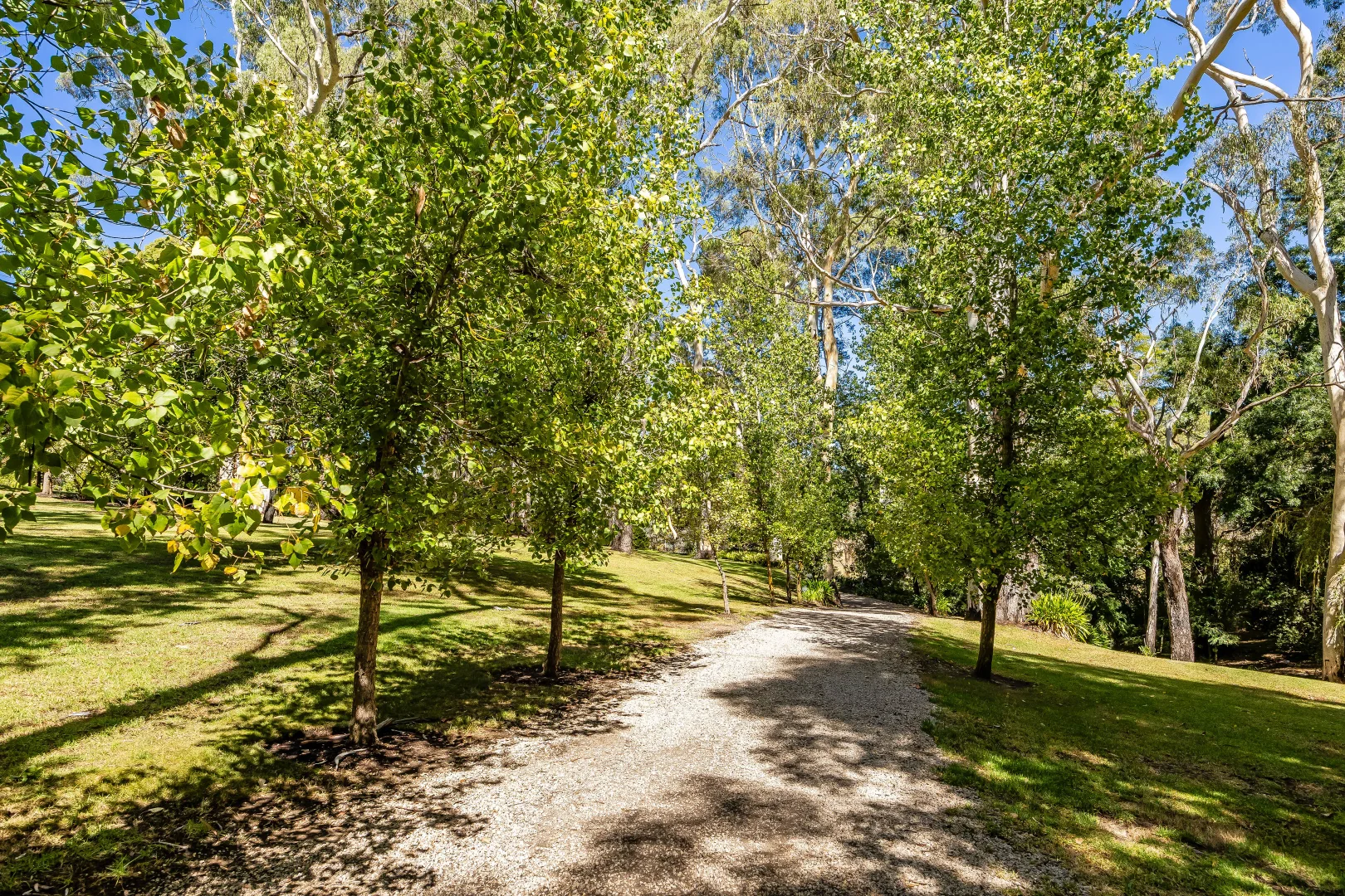 Additional image 78 of 158 Onkaparinga Valley Road, Verdun SA 5245