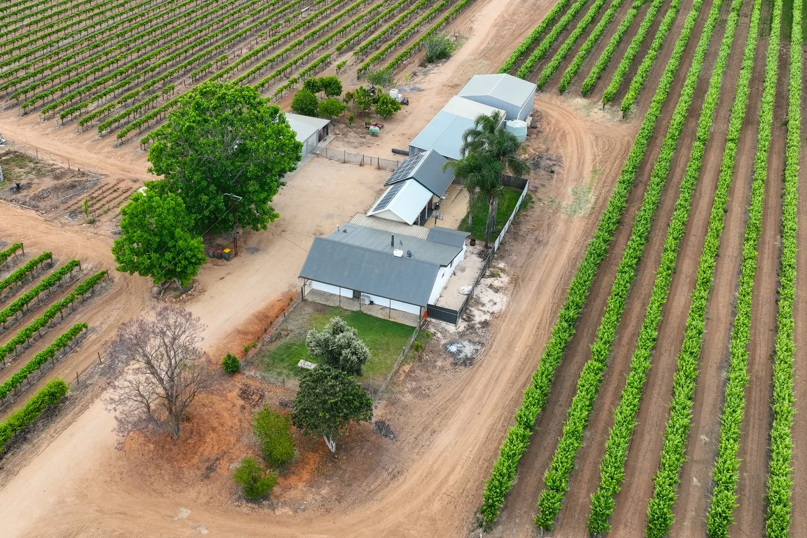 Additional image 39 of 50 Arnold Coats Road, Cobdogla SA 5346