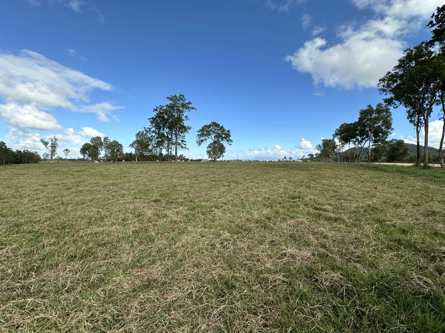 Additional image 15 of Jarra Creek QLD 4854