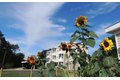 Additional image 24 of 994 Burdeck St, Rotterdam, NY, 12306