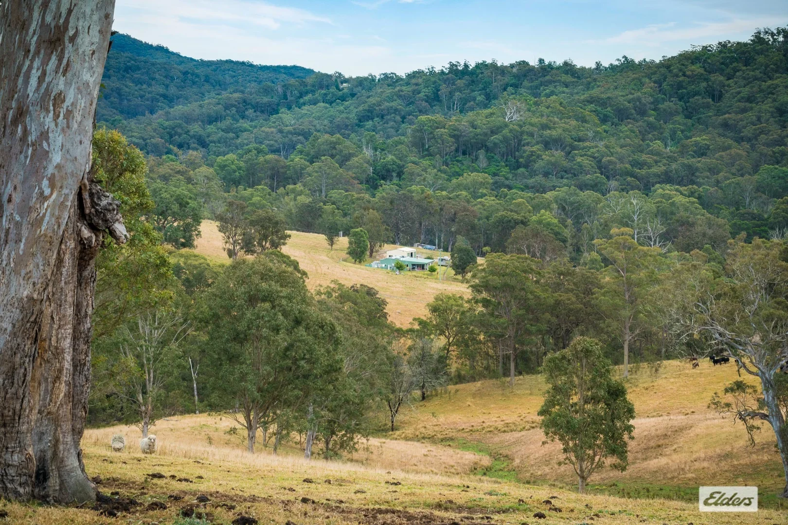 Additional image 28 of 93 Ramble Lane, Brogo NSW 2550