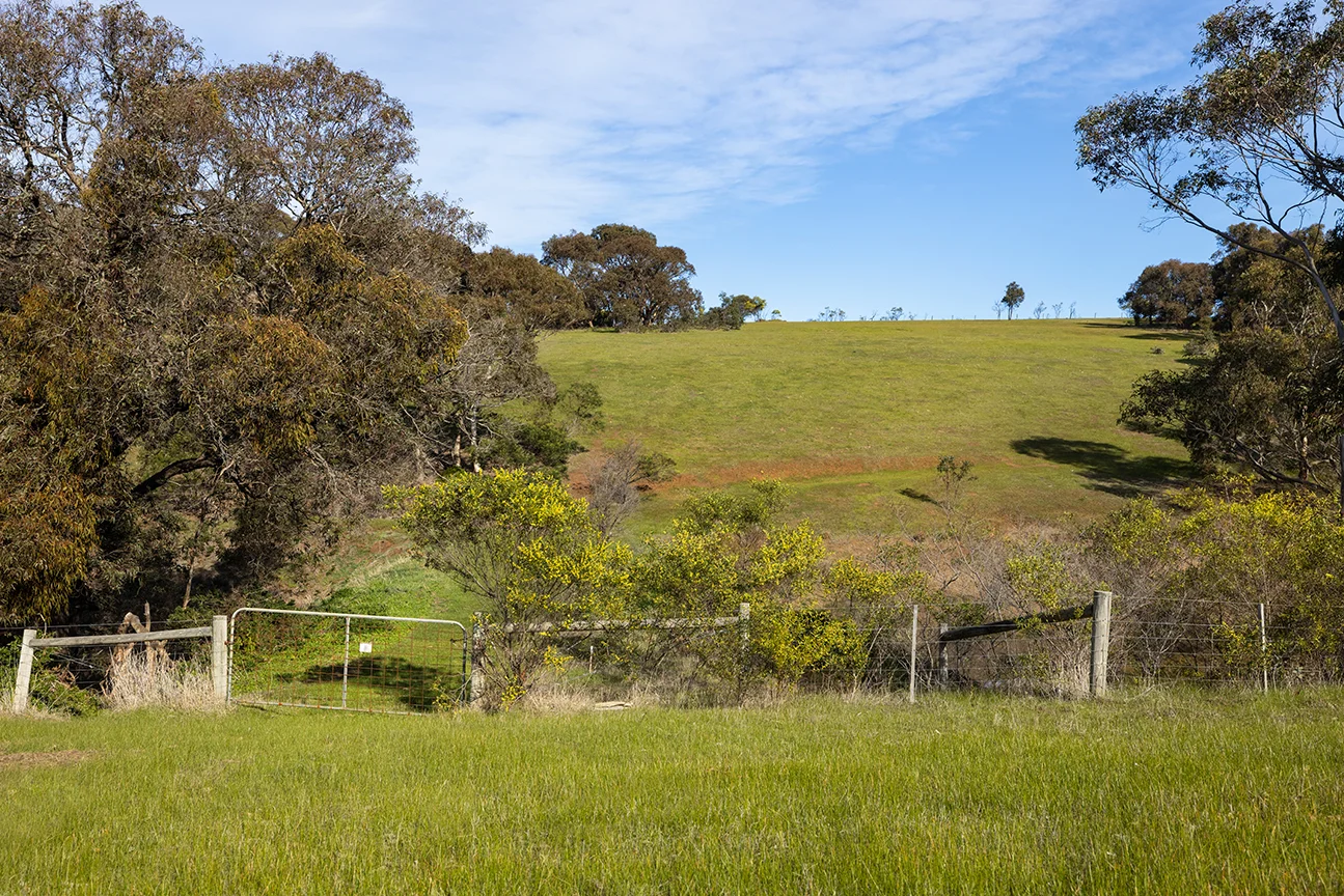 Additional image 8 of 160 Bells Road, Bells Beach VIC 3228