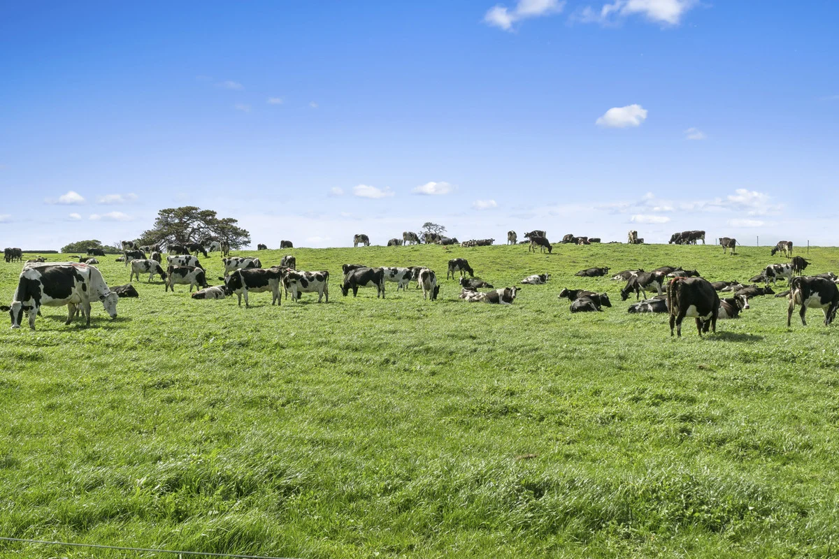 Additional image 12 of 280 Ondit-Warrion Road, Ondit VIC 3249