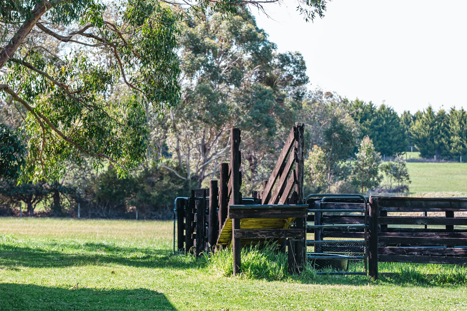 Additional image 15 of 67 Bittern-Dromana Road, Balnarring VIC 3926
