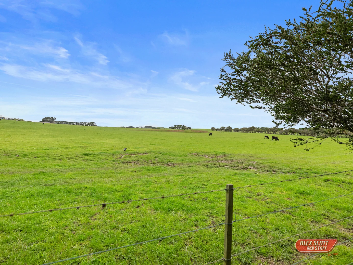 Additional image 25 of 22 Lymington Avenue, Ventnor VIC 3922