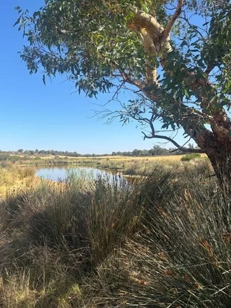 Additional image 22 of 1105 Coorow-Greenhead Road, Coorow WA 6515