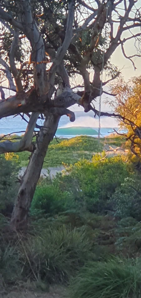 Additional image 15 of 121 Scamander Avenue, Scamander TAS 7215