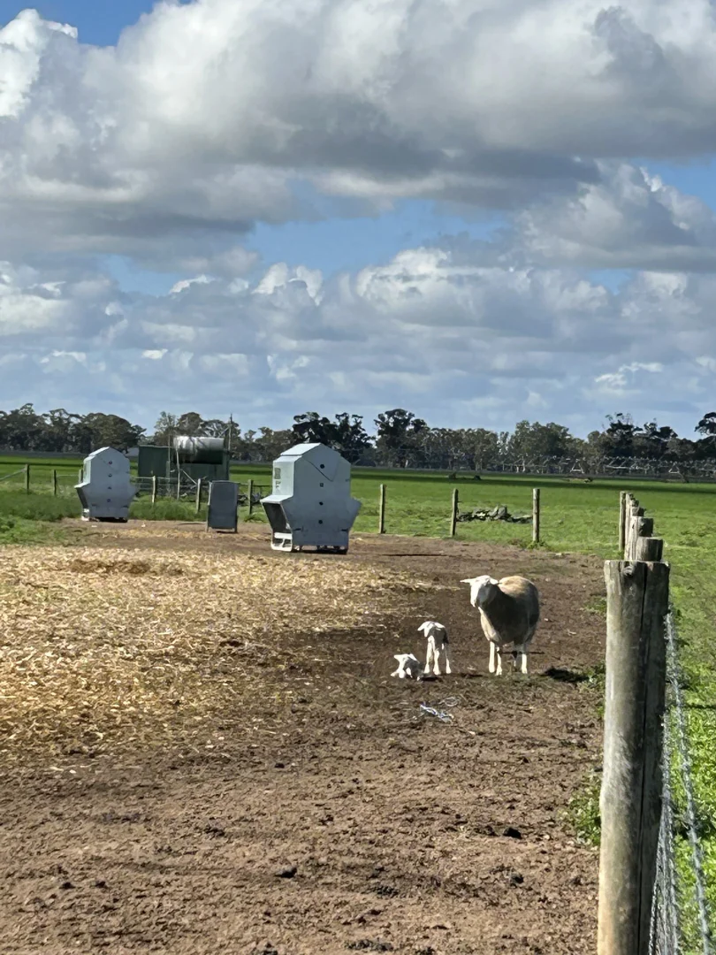 Additional image 16 of 71 Joys Road, Binnum SA 5262