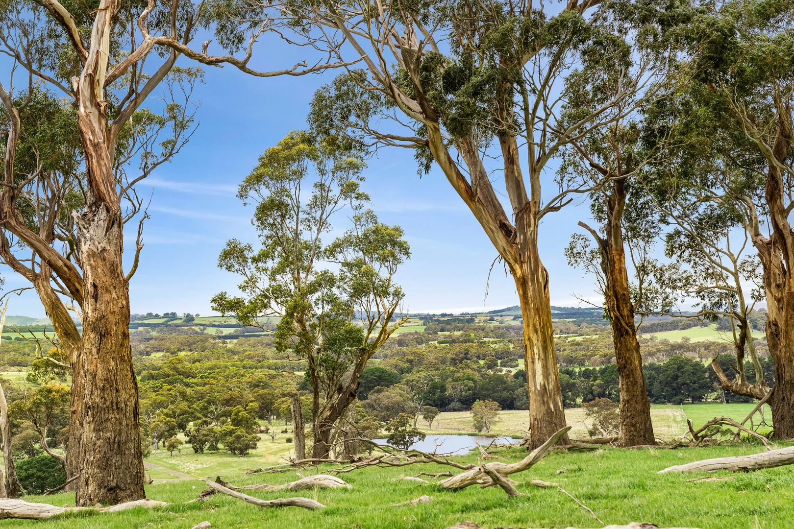 Additional image 4 of 1067 Rochford Road, Newham VIC 3442