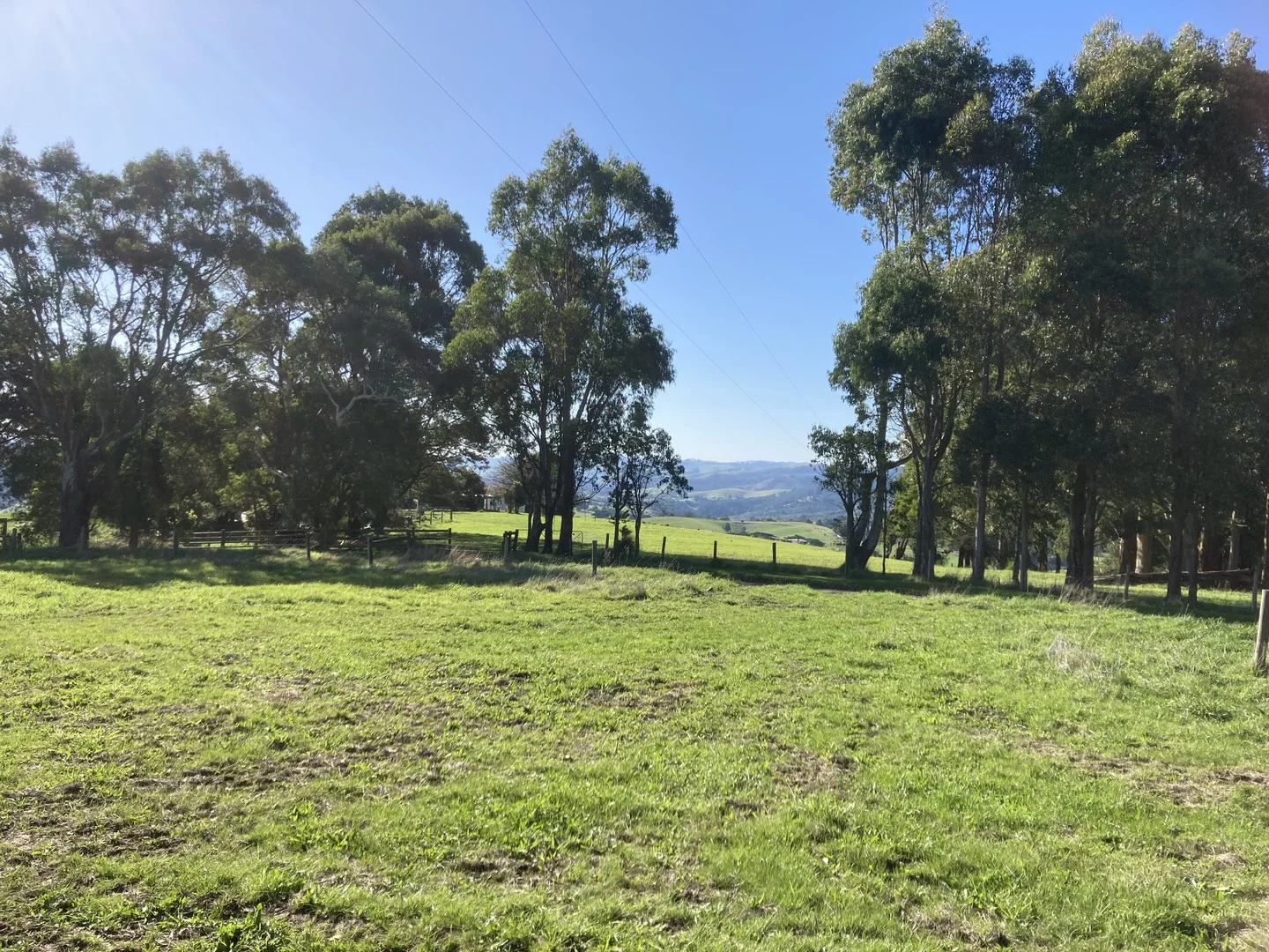 Additional image 3 of 65 Dykes Outlet Rd, Dollar VIC 3871