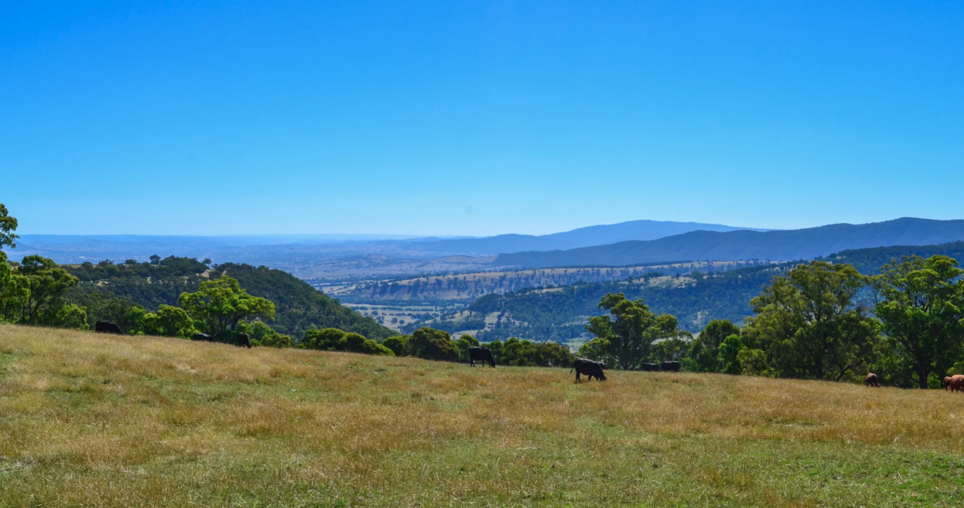 Additional image 18 of 1011 Tabletop Road, Tolmie VIC 3723