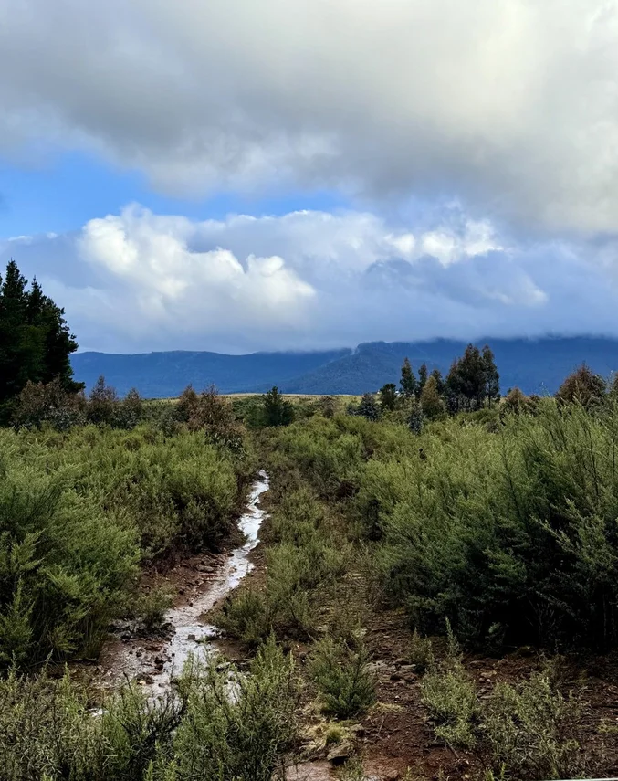 Additional image 3 of 1390 Loongana Road, Loongana TAS 7315