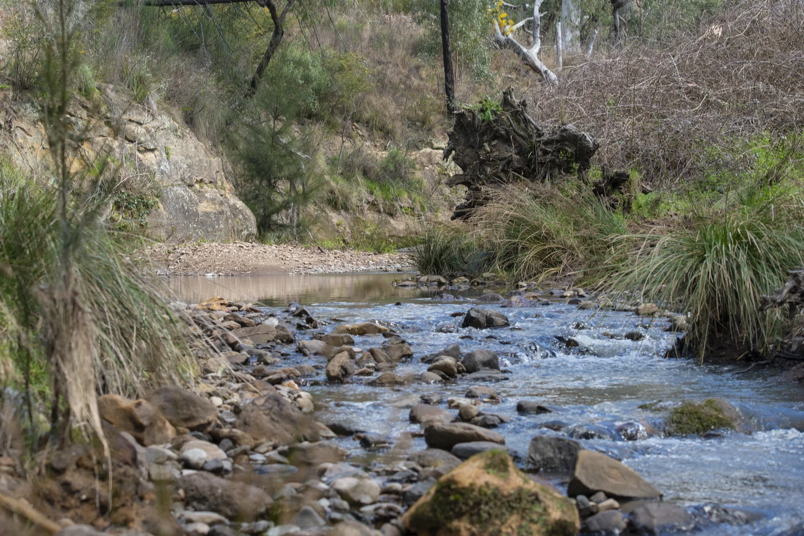 Additional image 13 of 1124 WARKTON ROAD, Coonabarabran NSW 2357