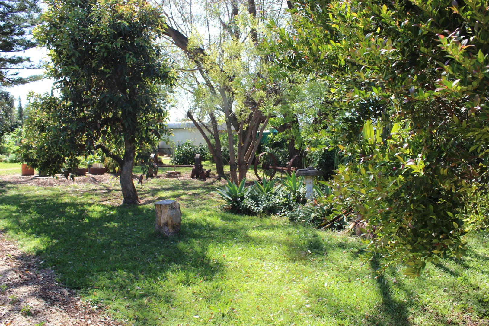 Additional image 21 of 27-29 Inverell St Delungra NSW 2403, Inverell NSW 2360