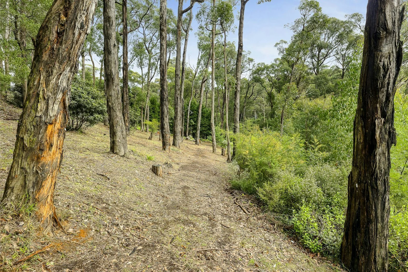 Additional image 4 of 52A View Hill Road, Cockatoo VIC 3781